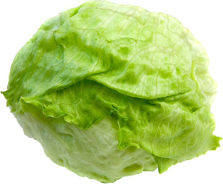 Fresh Green Lettuce Isolated.png PNG Image