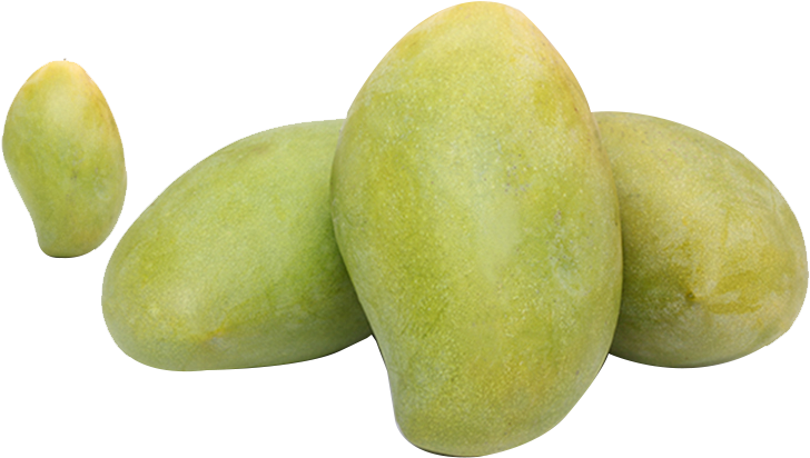 Fresh Green Mangoes Cluster PNG Image