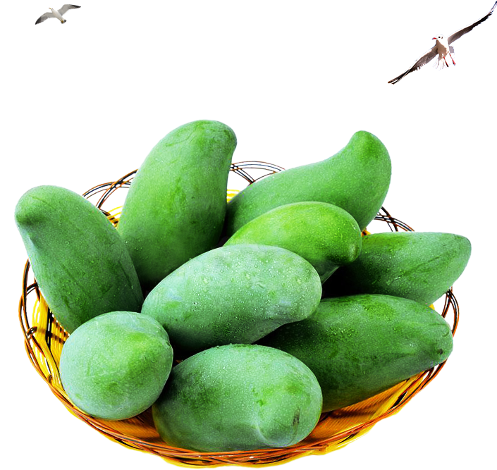 Fresh Green Mangoesin Basket PNG Image