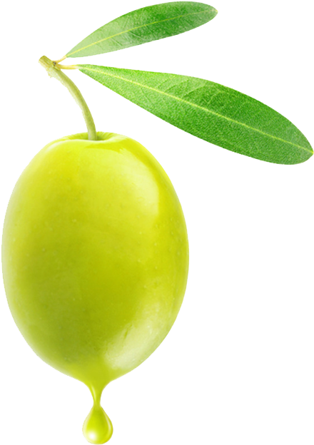 Fresh Green Olivewith Droplet PNG Image