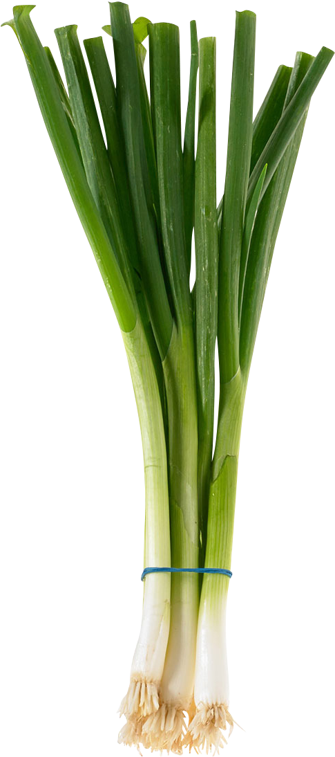 Fresh Green Onions Bunch PNG Image