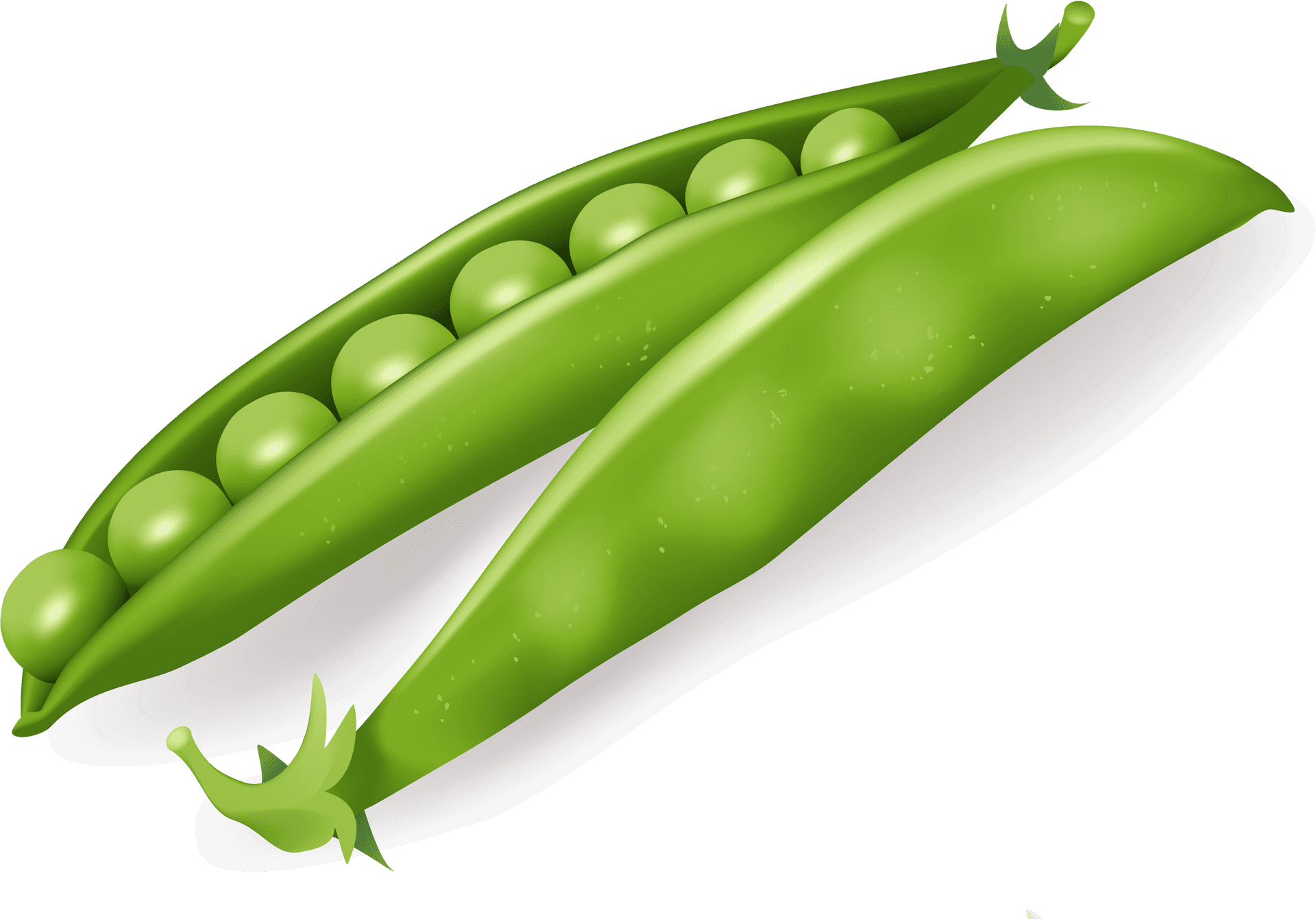 Fresh Green Pea Pod Illustration PNG Image