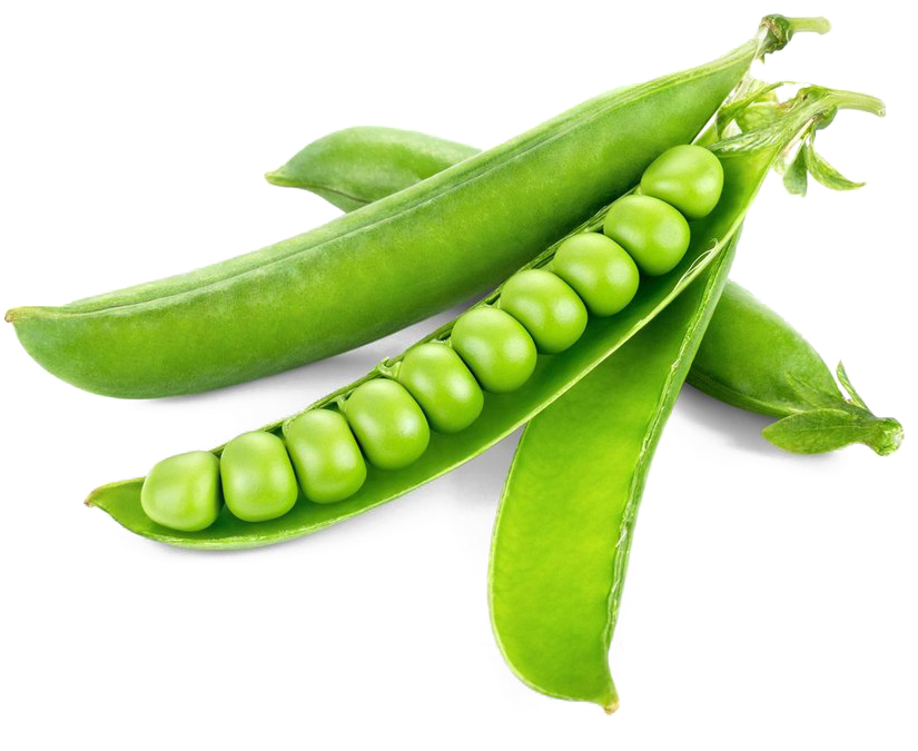 Fresh Green Peas Pods PNG Image