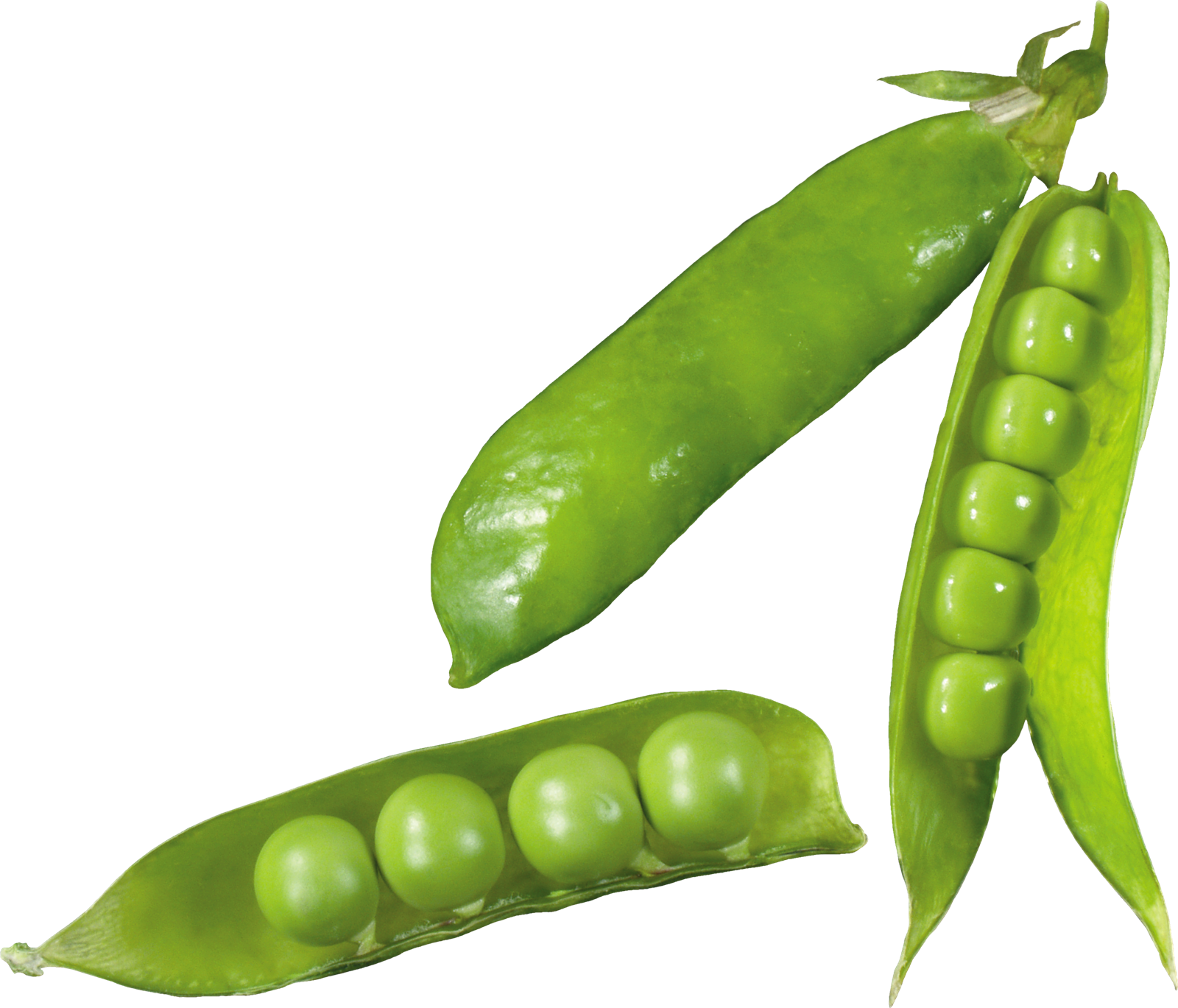 Fresh Green Peas Pods Transparent Background PNG Image