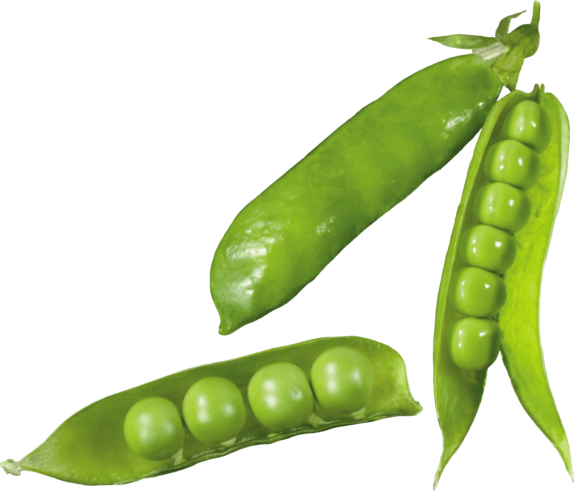 Fresh Green Peas Pods Transparent Background PNG Image