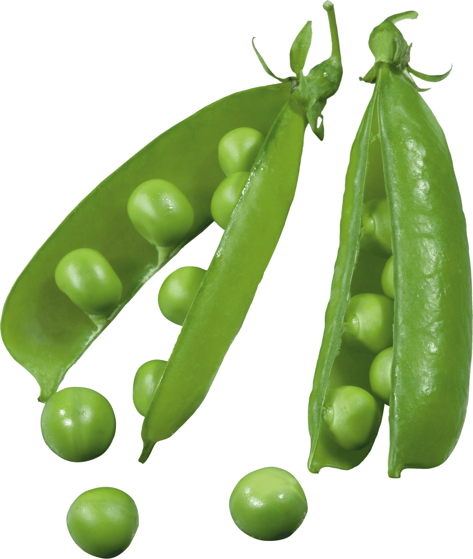 Fresh Green Peas Pods Transparent Background PNG Image