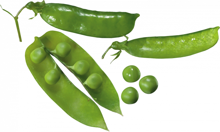 Fresh Green Peas Pods PNG Image