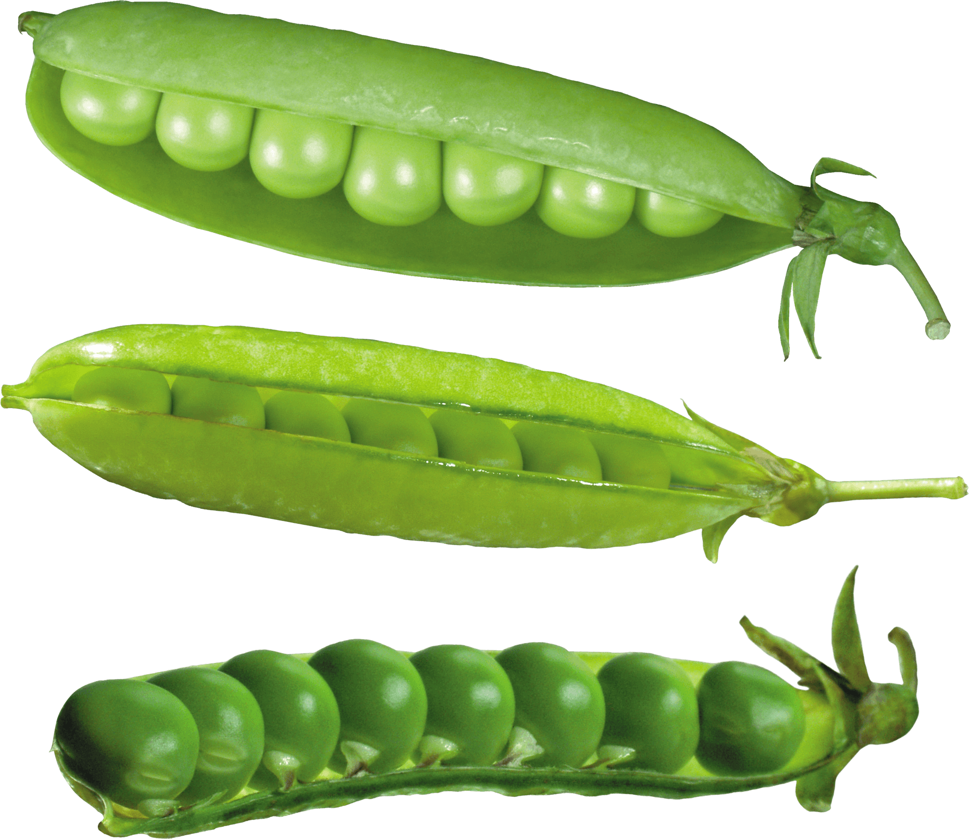 Fresh Green Peas Pods PNG Image