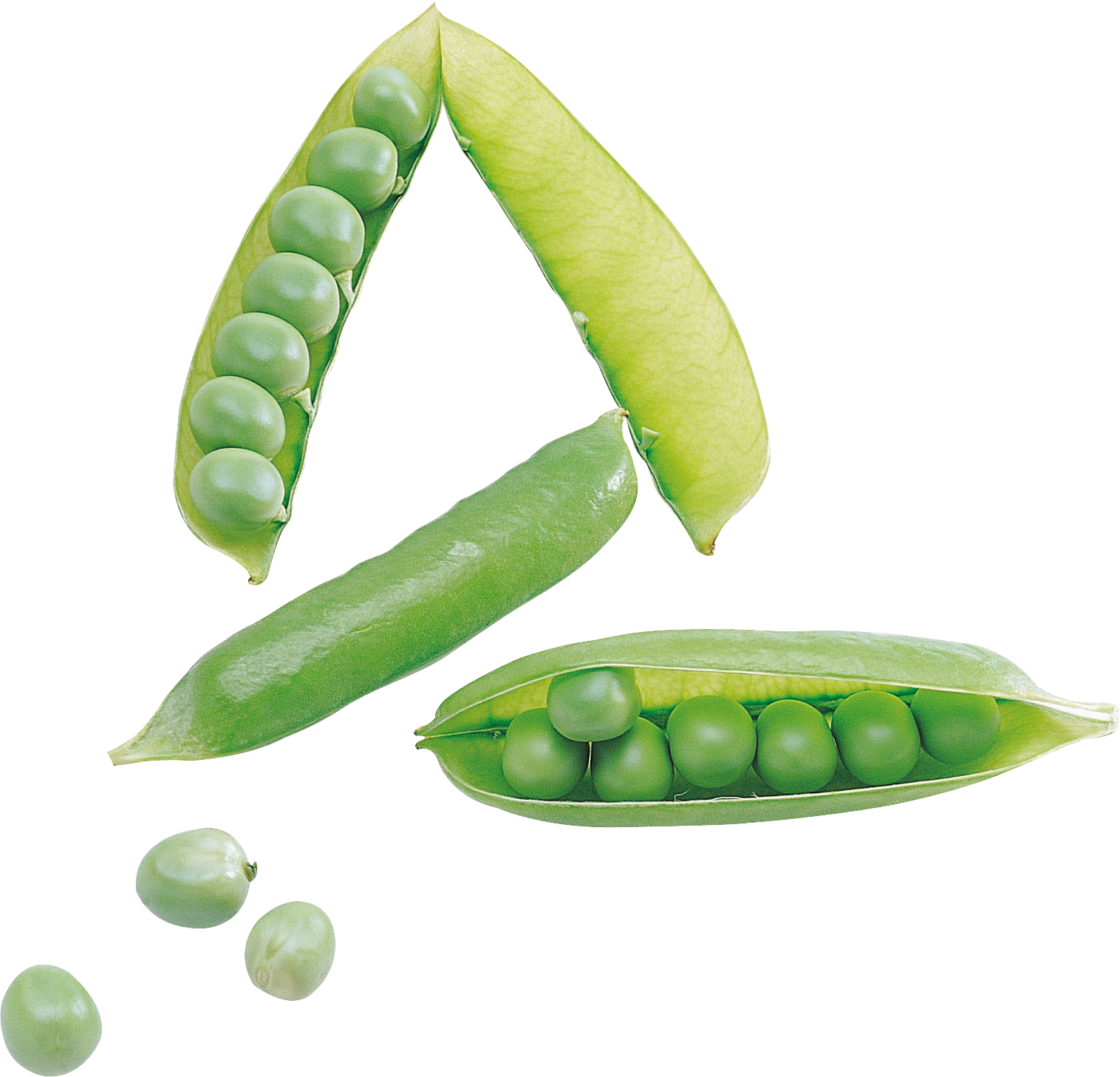 Fresh Green Peas Pods PNG Image