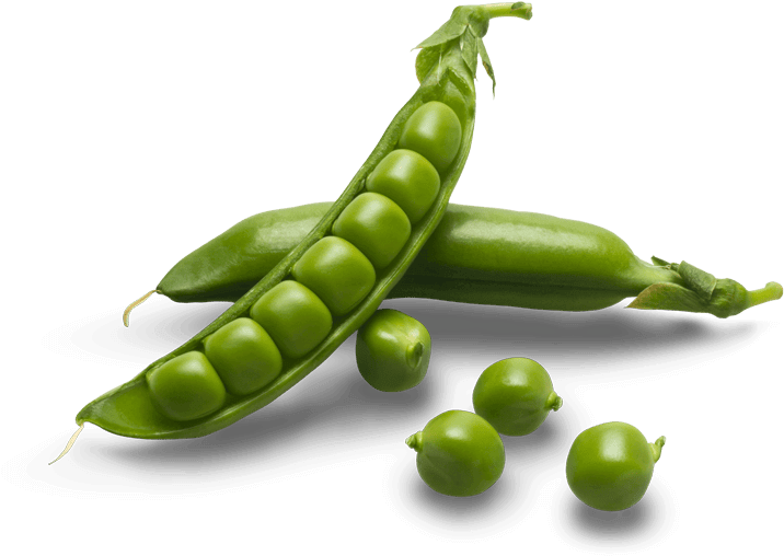 Fresh Green Peasin Pod PNG Image