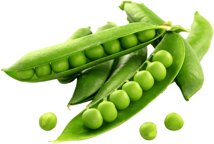 Fresh Green Peasin Pods PNG Image