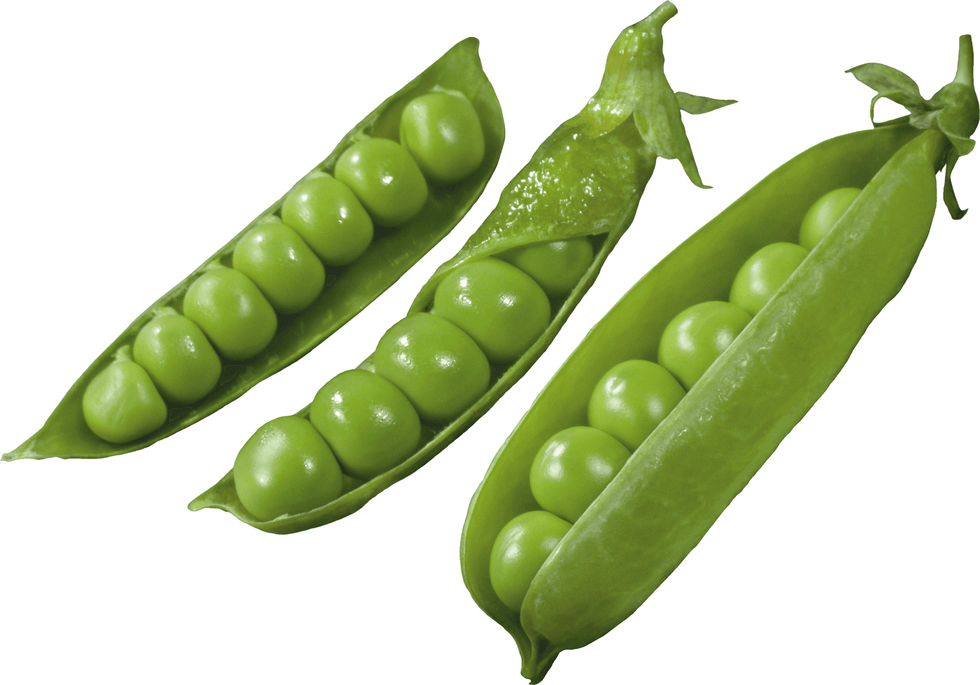 Fresh Green Peasin Pods PNG Image