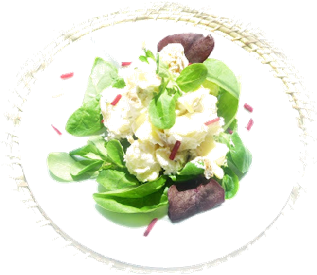 Fresh Green Salad Tossed Ingredients PNG Image