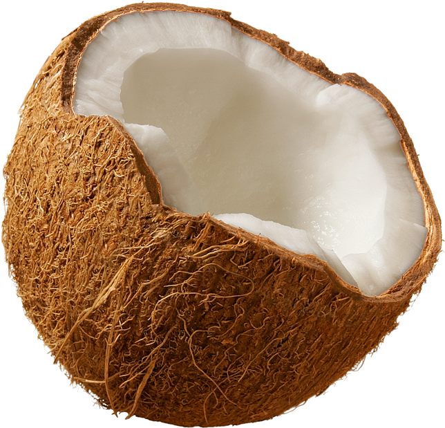 Fresh Half Coconut Transparent Background PNG Image