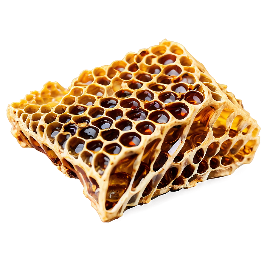 Fresh Honeycomb Piece Png 05232024 PNG Image