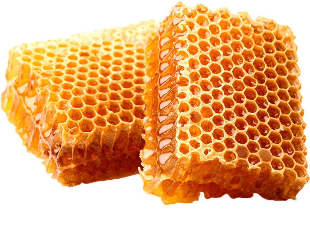 Fresh Honeycomb Pieces PNG Image