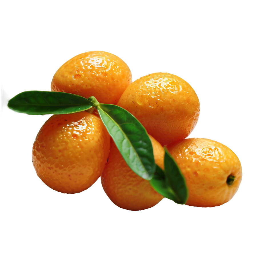 Fresh Kumquat Png Jpn65 PNG Image