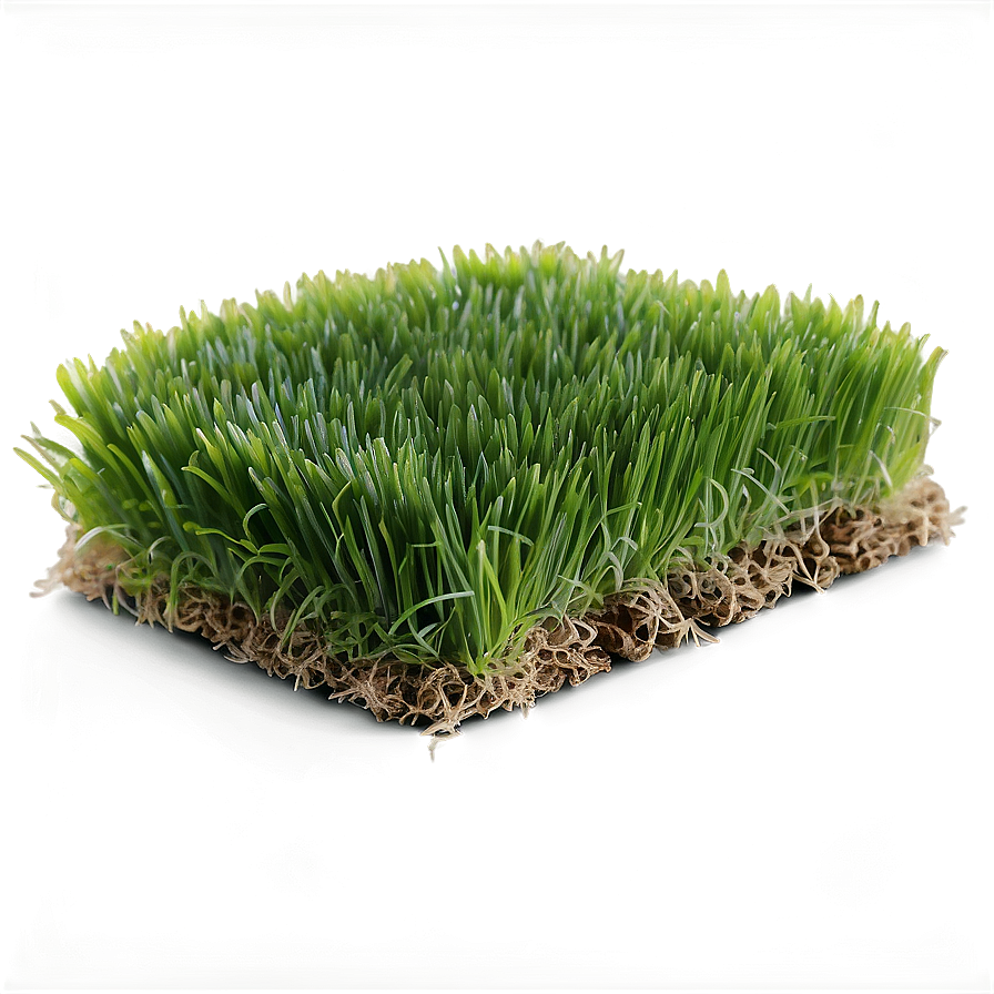 Fresh Lawn Grass Png Ocn PNG Image