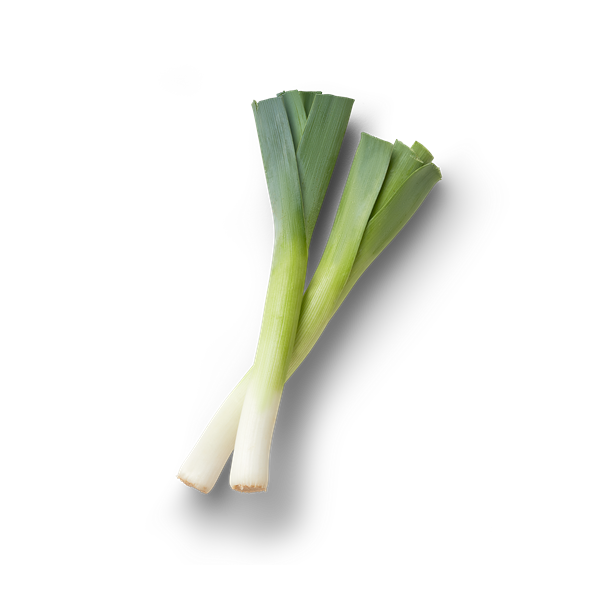 Fresh Leek Vegetable Isolated PNG Image