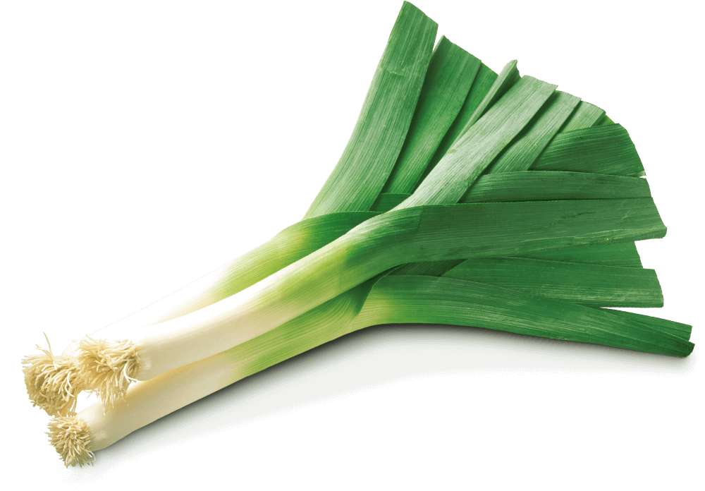 Fresh Leeks Isolatedon Background.png PNG Image