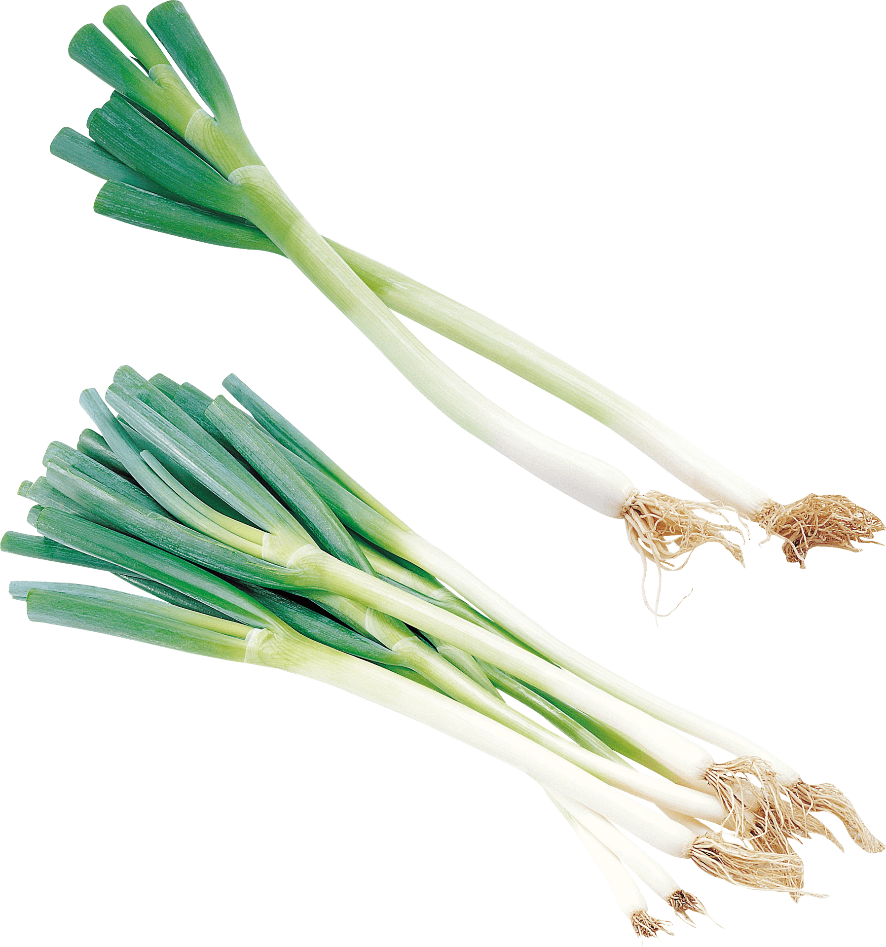 Fresh Leeks Isolatedon Grey Background PNG Image