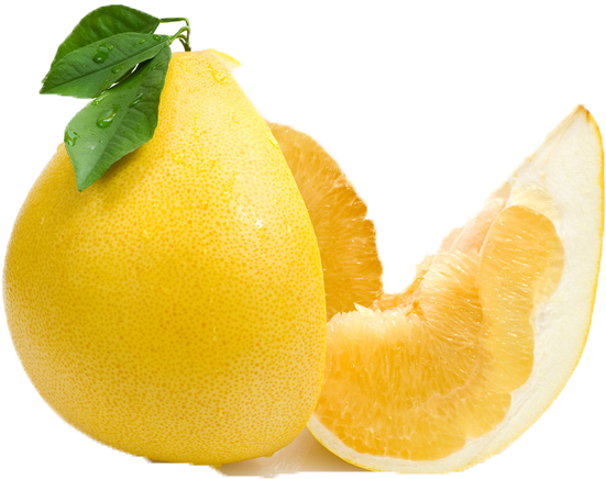 Fresh Lemonand Slice PNG Image