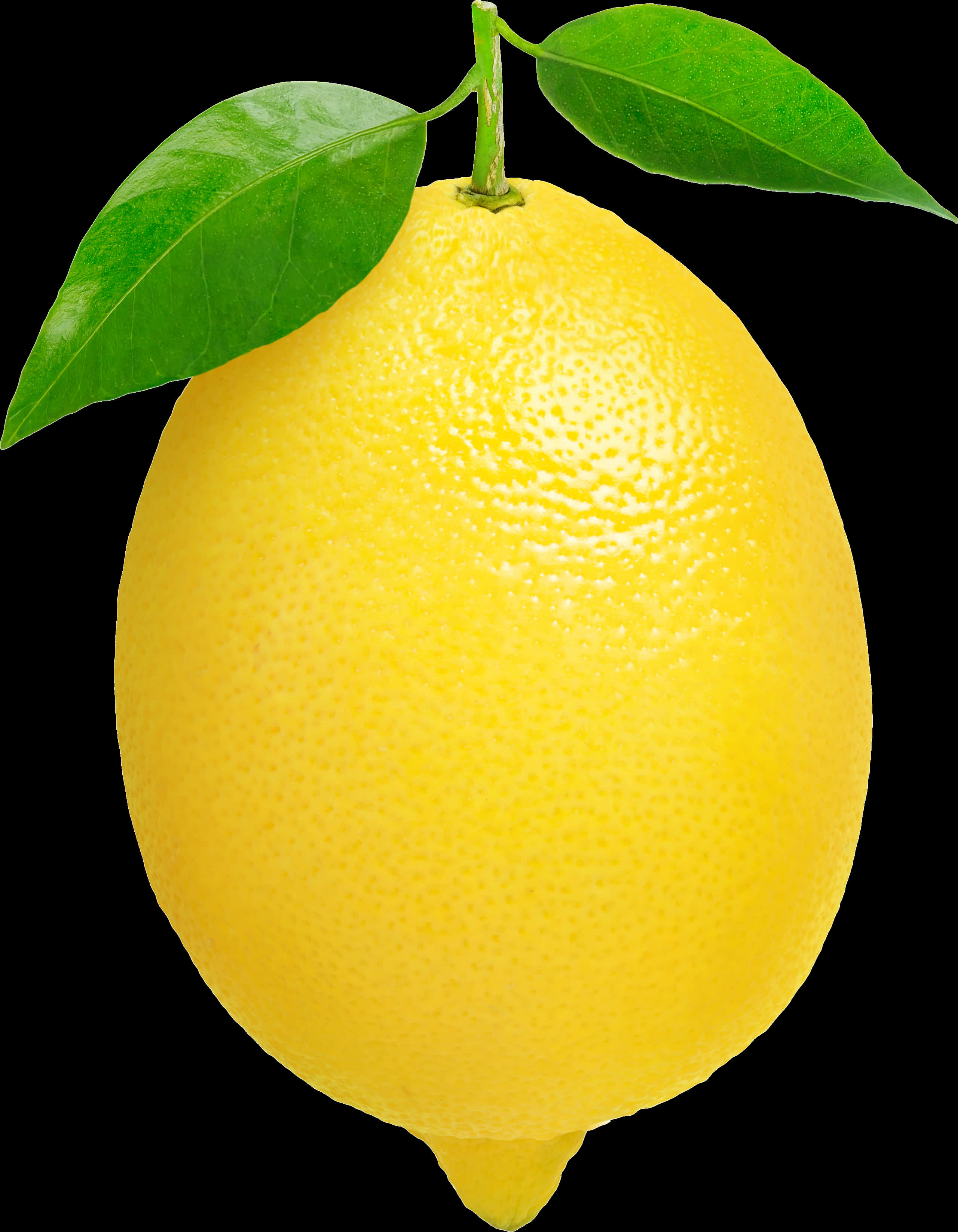 Fresh Lemonwith Leaves PNG Image