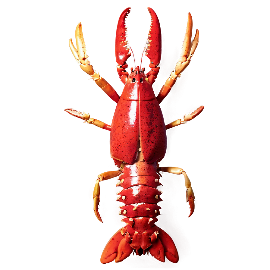 Fresh Lobster Png Irc99 PNG Image