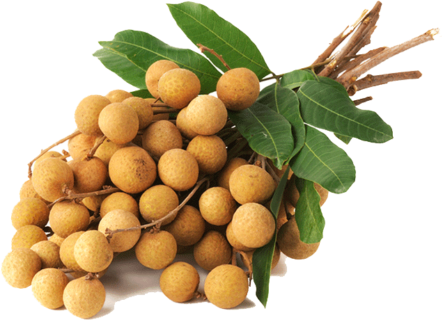 Fresh Longan Bunch PNG Image