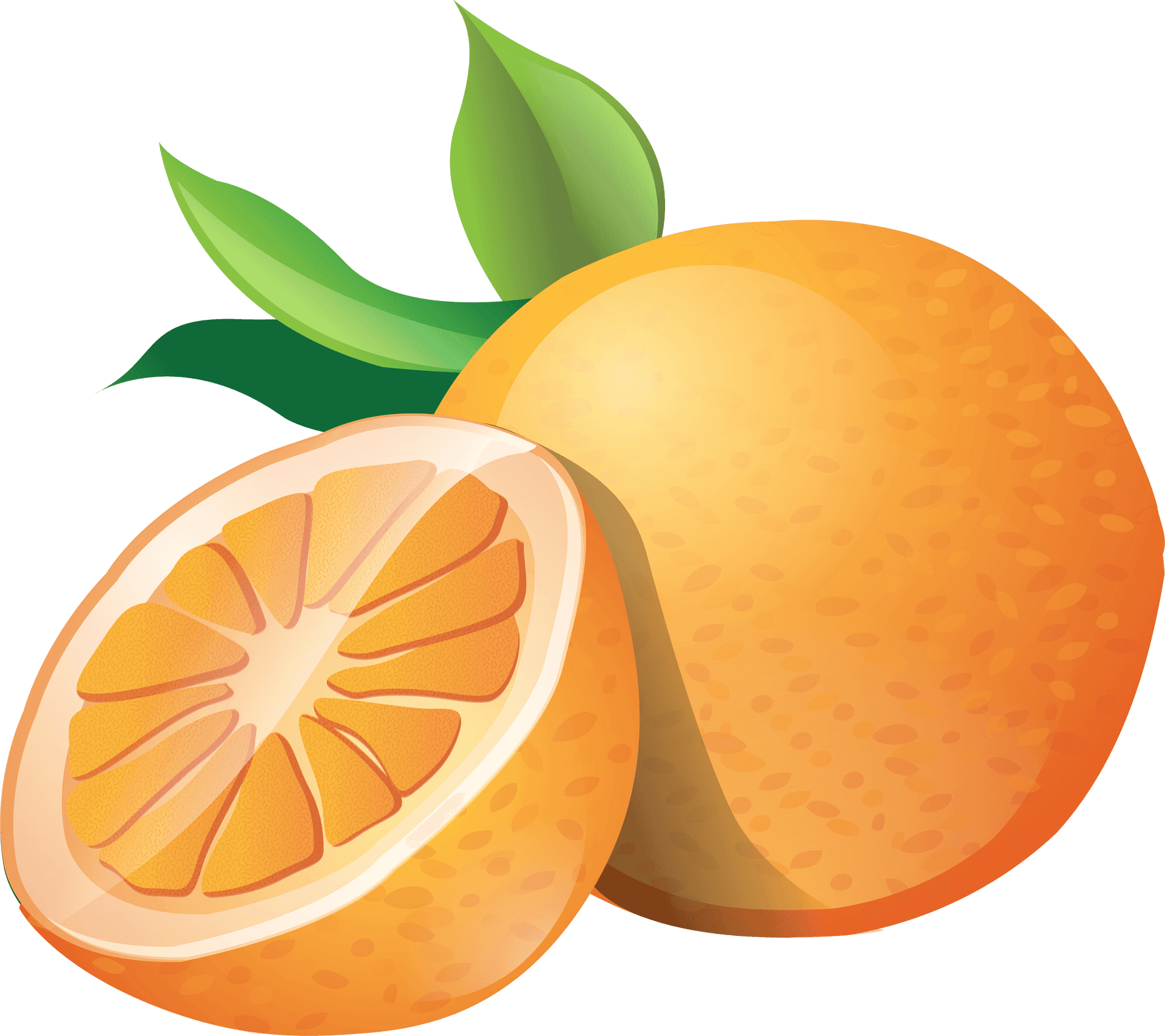 Fresh Mandarin Orange Illustration PNG Image