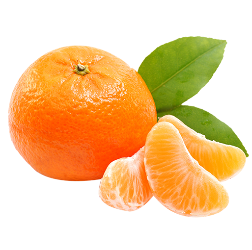 Fresh Mandarin Orangewith Segments.png PNG Image