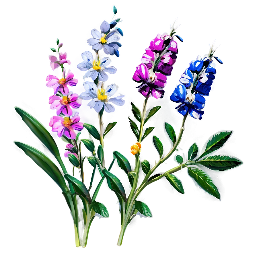 Fresh Morning Wildflowers Png Vpp PNG Image