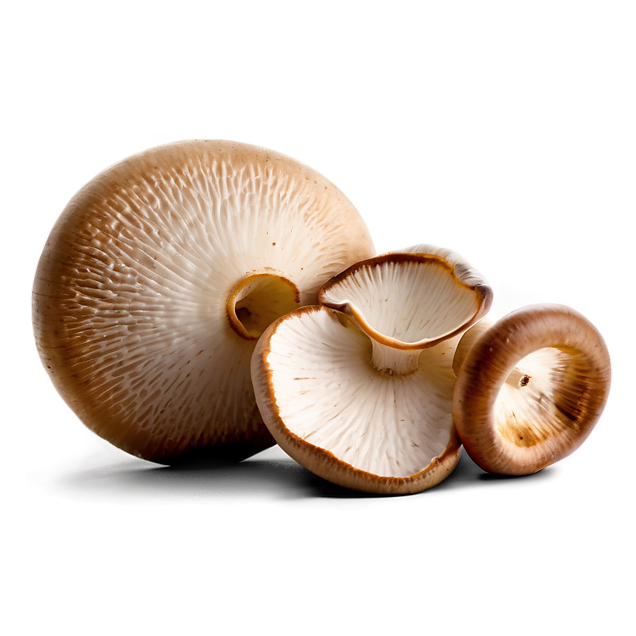 Fresh Mushrooms Png Ine78 PNG Image