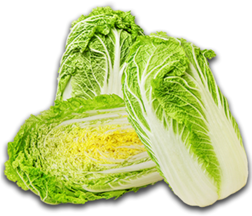 Fresh Napa Cabbage Halves PNG Image