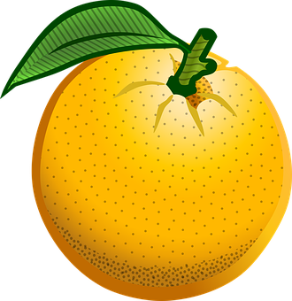 Fresh Orange Illustration PNG Image