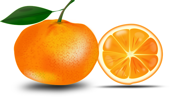 Fresh Orangeand Cross Section PNG Image