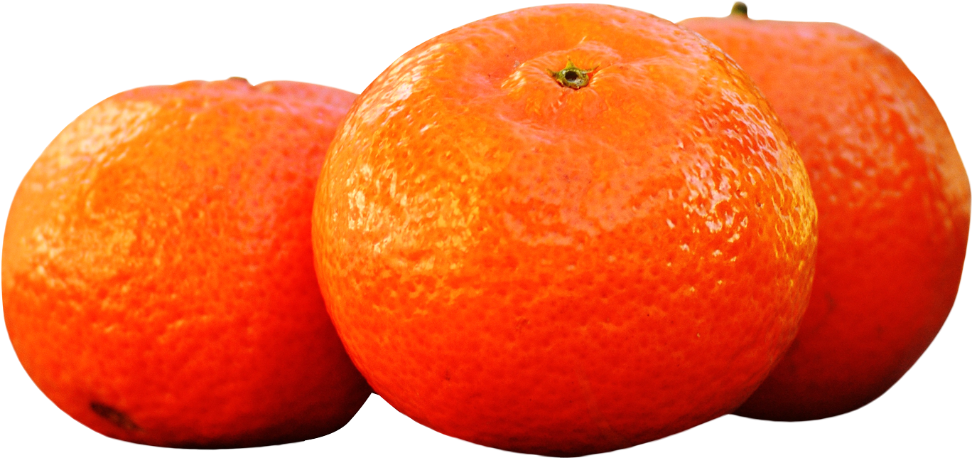 Fresh Oranges Isolated Background PNG Image