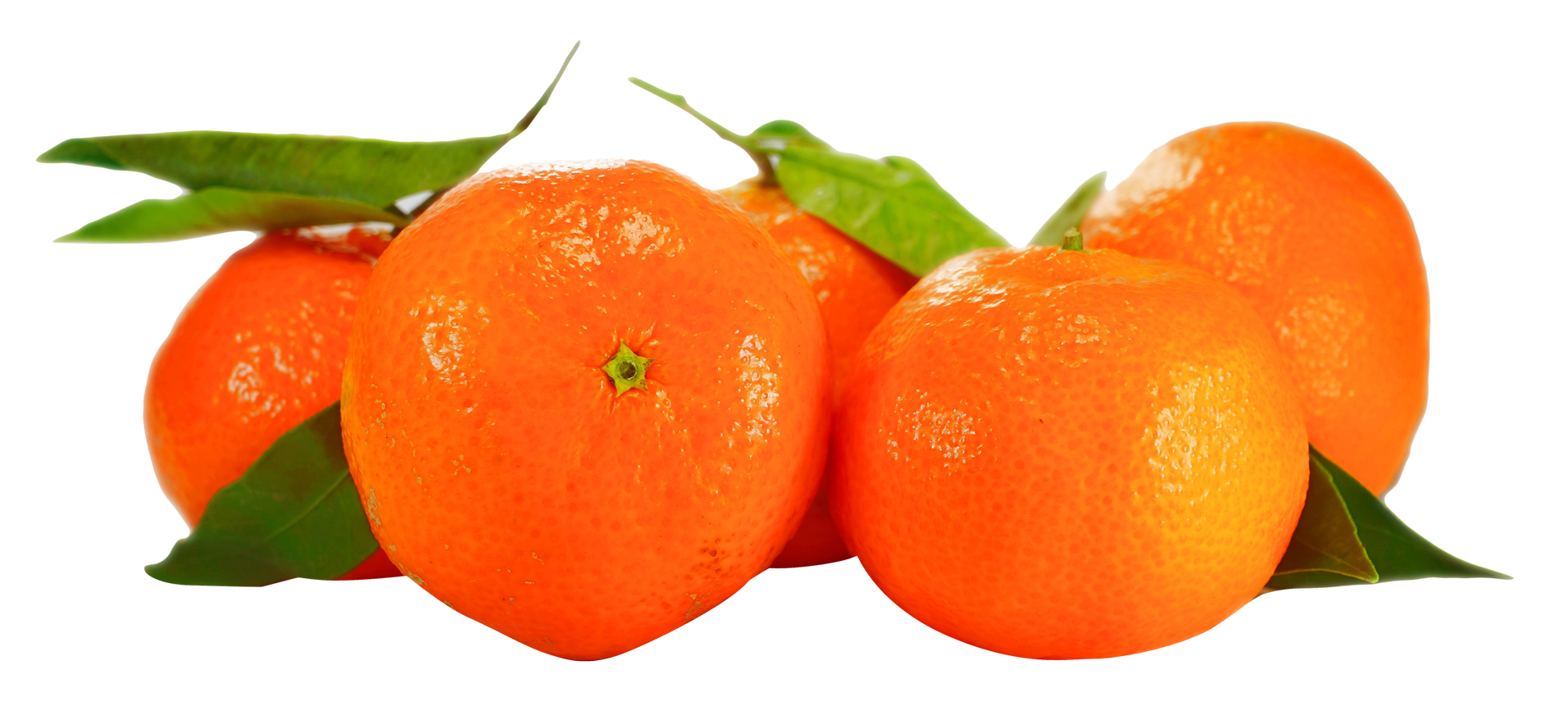 Fresh Orangeswith Leaves PNG Image