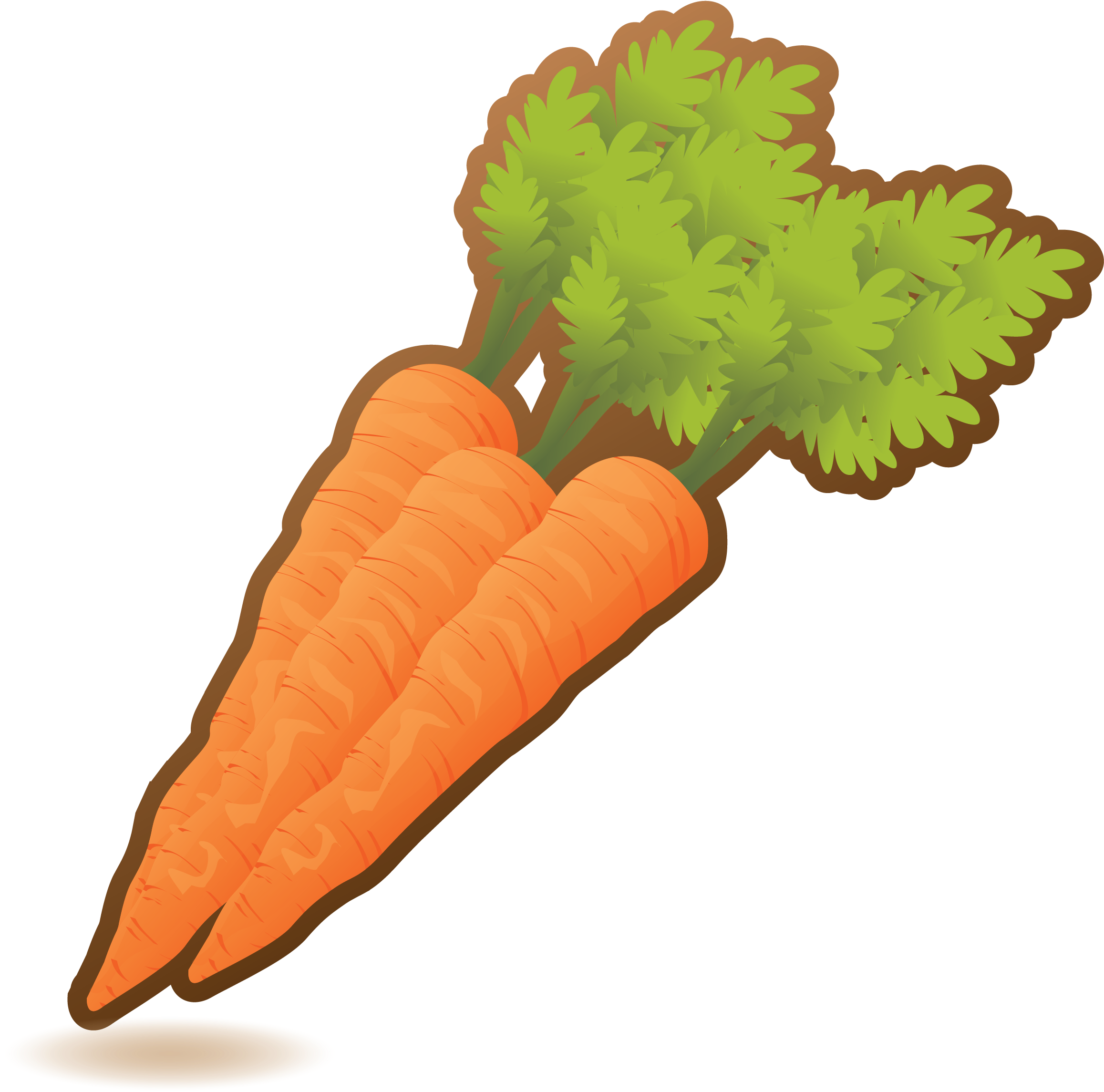 Fresh Organic Carrots Illustration PNG Image