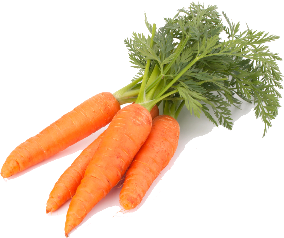 Fresh Organic Carrots Isolated PNG Image