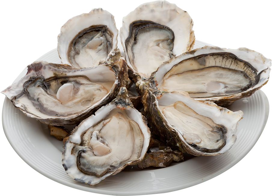 Fresh Oysterson Plate PNG Image