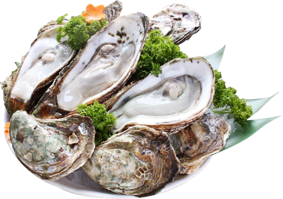 Fresh Oysterson Plate PNG Image