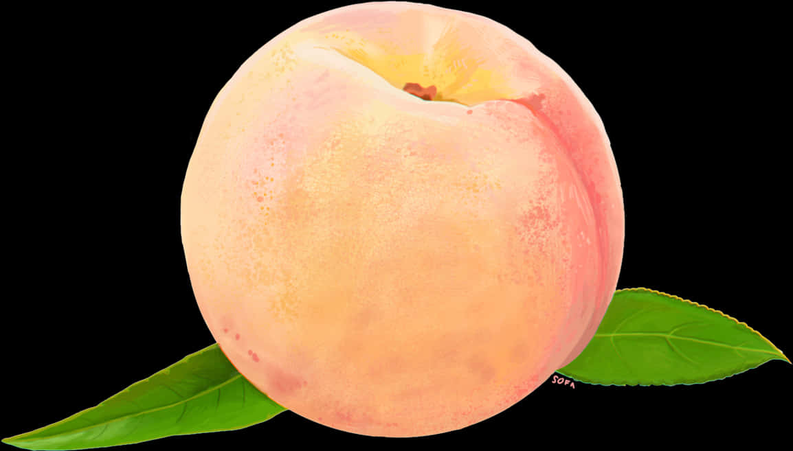 Fresh Peachwith Leaves Black Background PNG Image