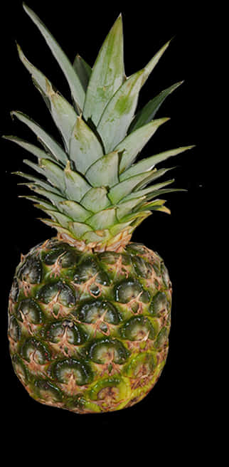 Fresh Pineapple Black Background PNG Image