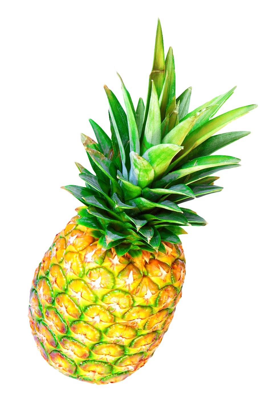 Fresh Pineapple Isolatedon Gray PNG Image