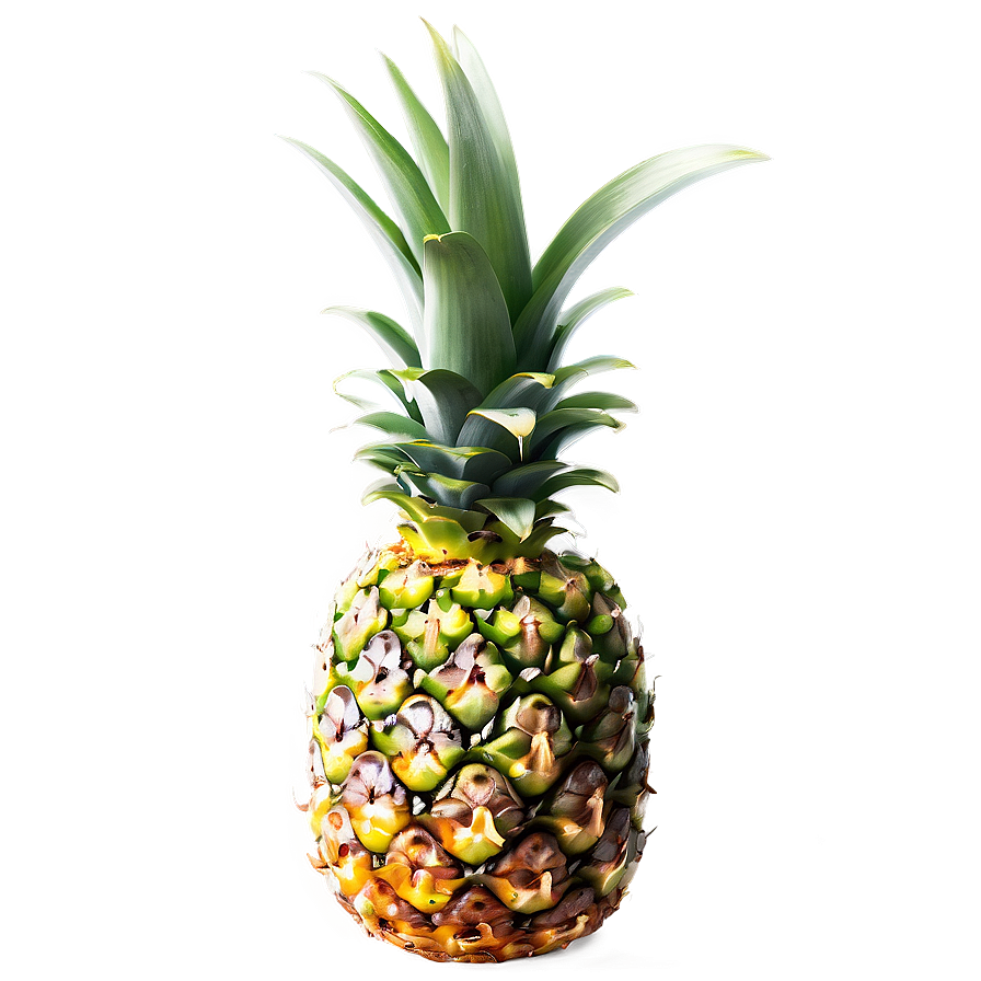 Fresh Pineapple Png Ajf42 PNG Image