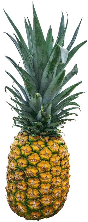 Fresh Pineapple Standing PNG Image