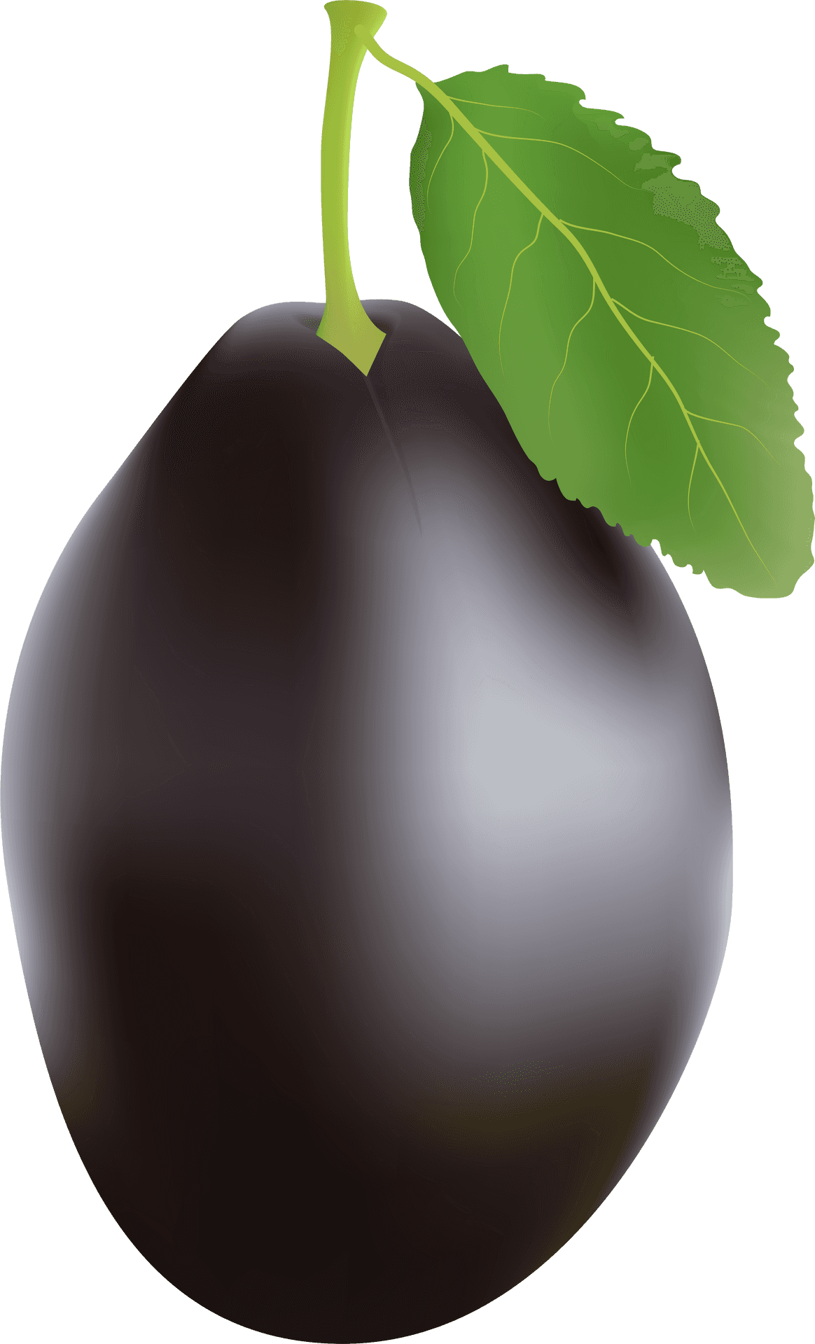 Fresh Plumwith Leaf PNG Image