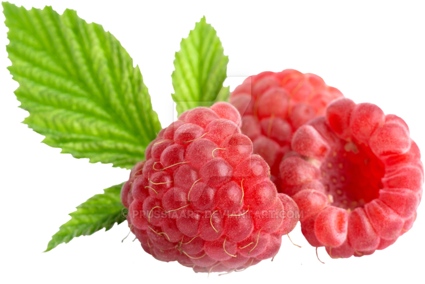 Fresh Raspberrieswith Leaves.png PNG Image