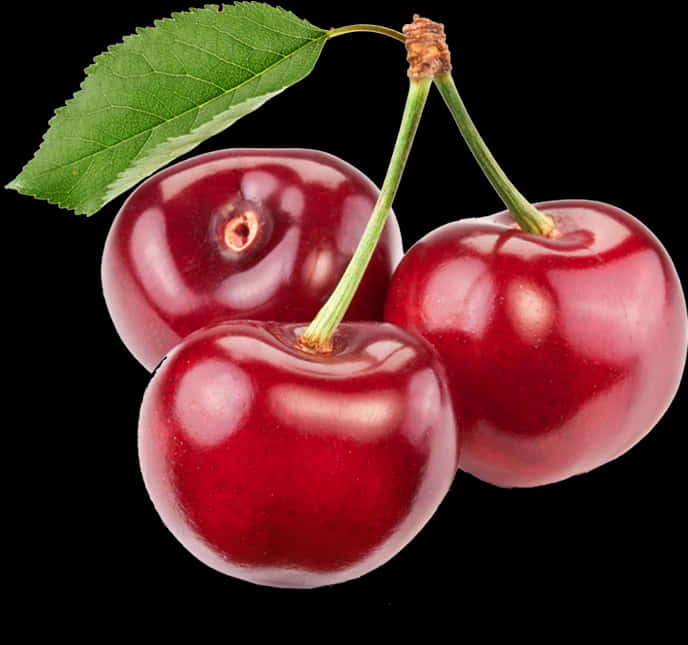 Fresh Red Cherrieswith Leaf PNG Image